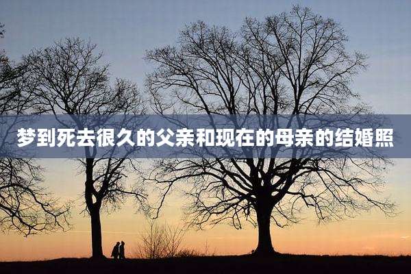 梦到死去很久的父亲和现在的母亲的结婚照