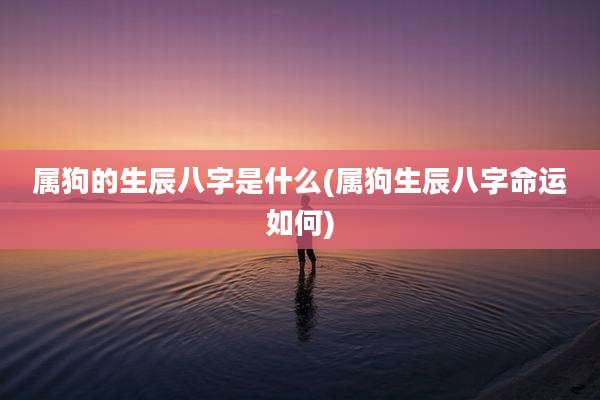 属狗的生辰八字是什么(属狗生辰八字命运如何)