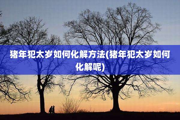 猪年犯太岁如何化解方法(猪年犯太岁如何化解呢)
