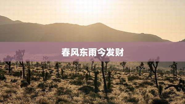 春风东雨今发财