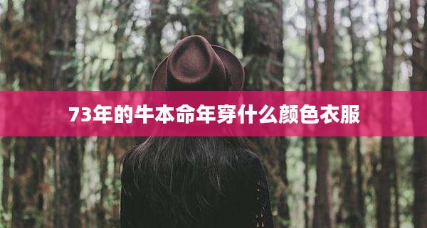 73年的牛本命年穿什么颜色衣服