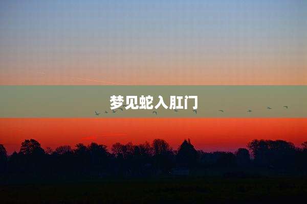 梦见蛇入***