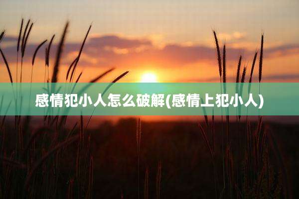 感情犯小人怎么破解(感情上犯小人)