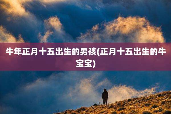牛年正月十五出生的男孩(正月十五出生的牛宝宝)