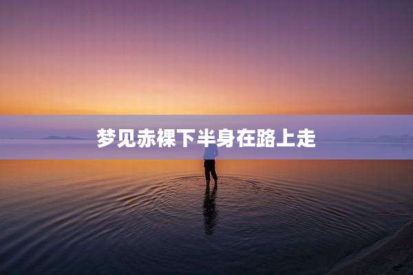 梦见***下半身在路上走