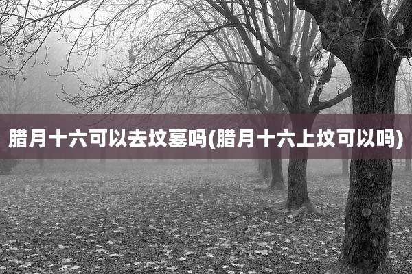 腊月十六可以去坟墓吗(腊月十六上坟可以吗)