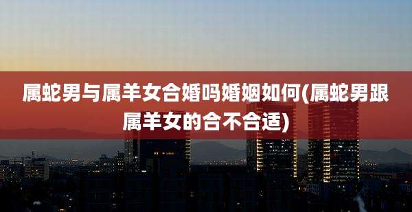 属蛇男与属羊女合婚吗婚姻如何(属蛇男跟属羊女的合不合适)