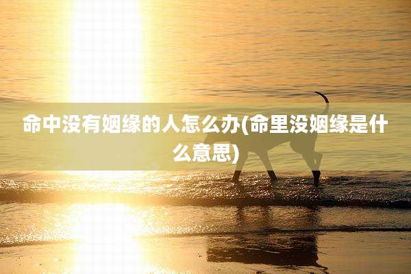 命中没有姻缘的人怎么办(命里没姻缘是什么意思)