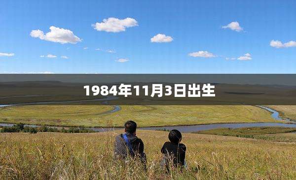 1984年11月3日出生