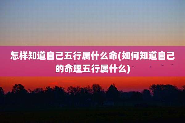 怎样知道自己五行属什么命(如何知道自己的命理五行属什么)