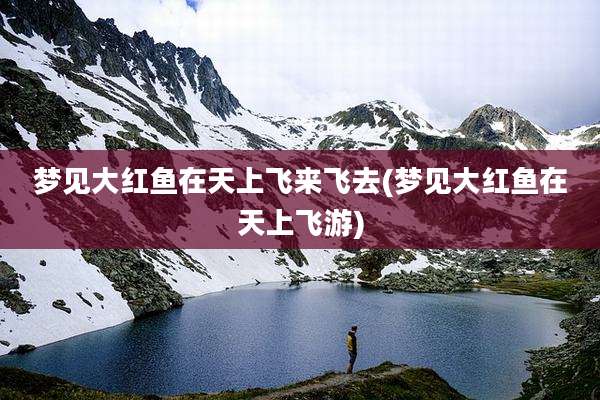 梦见大红鱼在天上飞来飞去(梦见大红鱼在天上飞游)