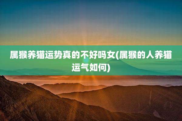 属猴养猫运势真的不好吗女(属猴的人养猫运气如何)