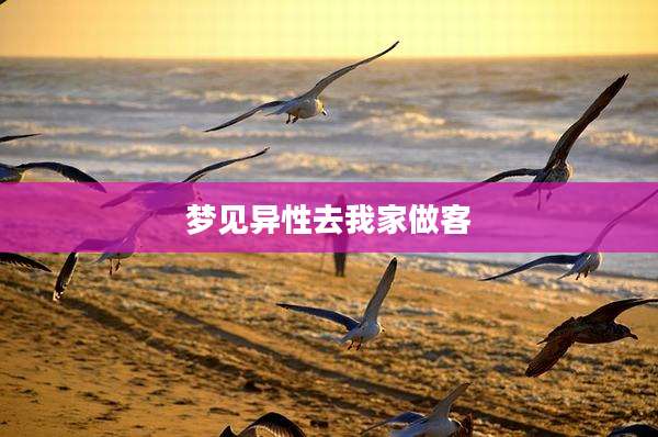 梦见异性去我家做客