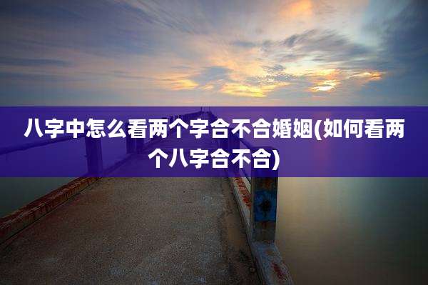 八字中怎么看两个字合不合婚姻(如何看两个八字合不合)