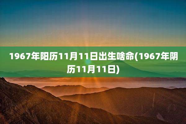1967年阳历11月11日出生啥命(1967年阴历11月11日)