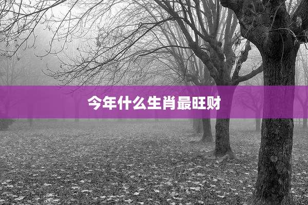 今年什么生肖最旺财