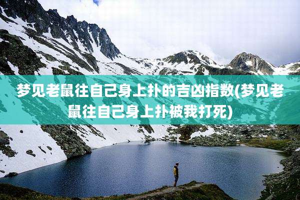 梦见老鼠往自己身上扑的吉凶指数(梦见老鼠往自己身上扑被我打死)