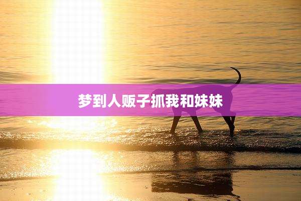 梦到人贩子抓我和妹妹