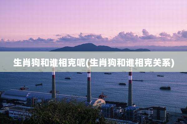 生肖狗和谁相克呢(生肖狗和谁相克关系)