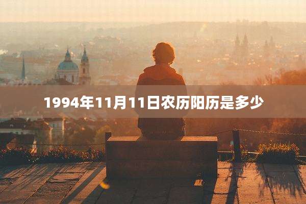 1994年11月11日农历阳历是多少