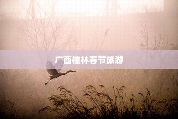 广西桂林春节旅游