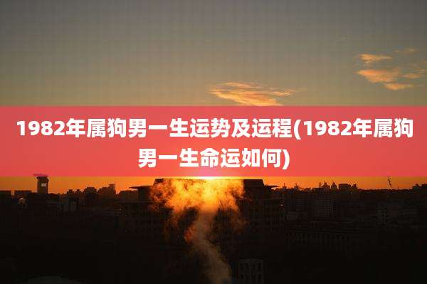 1982年属狗男一生运势及运程(1982年属狗男一生命运如何)