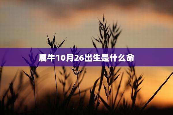 属牛10月26出生是什么命