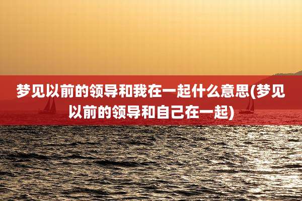 梦见以前的领导和我在一起什么意思(梦见以前的领导和自己在一起)