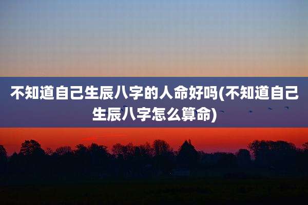 不知道自己生辰八字的人命好吗(不知道自己生辰八字怎么算命)