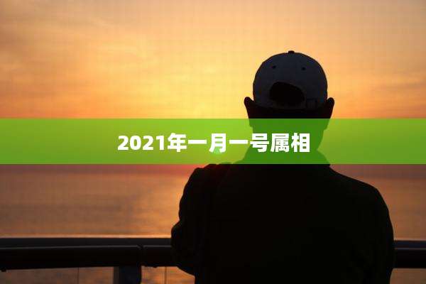2021年一月一号属相