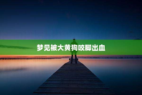 梦见被大黄狗咬脚出血