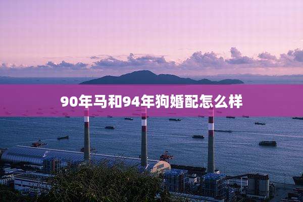 90年马和94年狗婚配怎么样