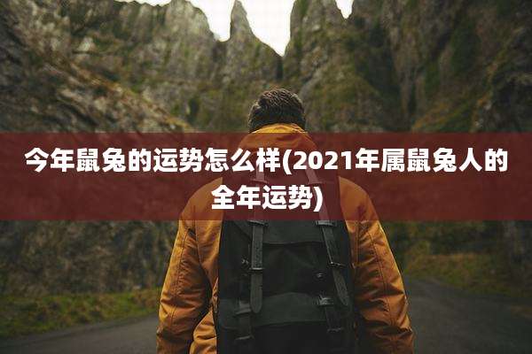 今年鼠兔的运势怎么样(2021年属鼠兔人的全年运势)