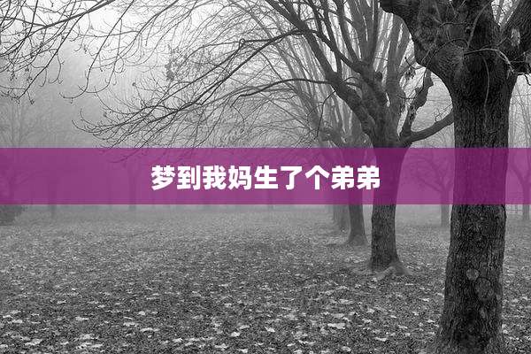 梦到我妈生了个弟弟