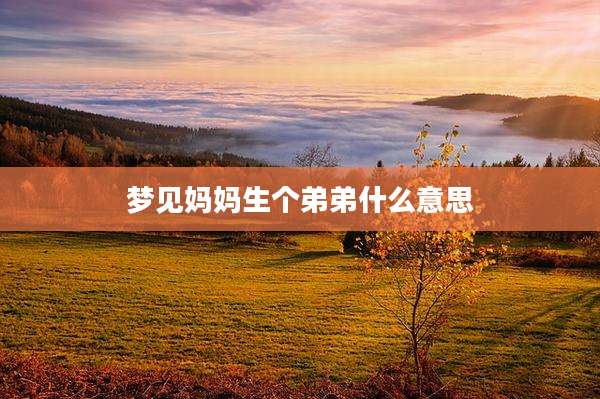 梦见妈妈生个弟弟什么意思