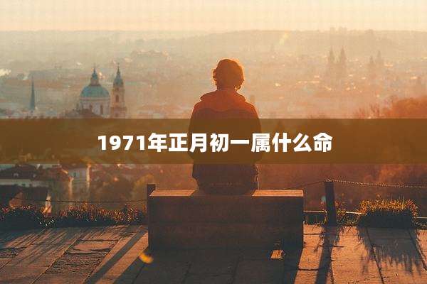 1971年正月初一属什么命