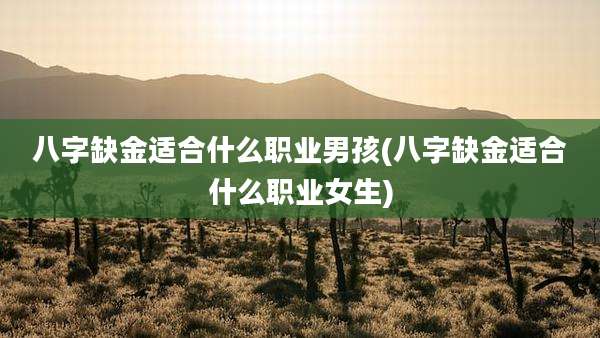 八字缺金适合什么职业男孩(八字缺金适合什么职业女生)