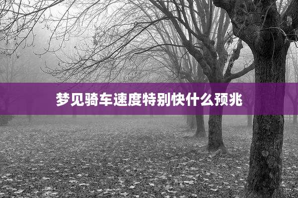 梦见骑车速度特别快什么预兆