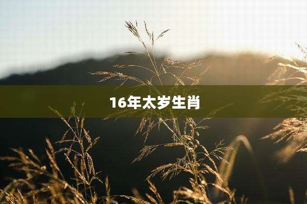 16年太岁生肖