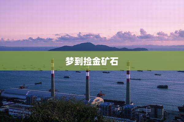 梦到捡金矿石