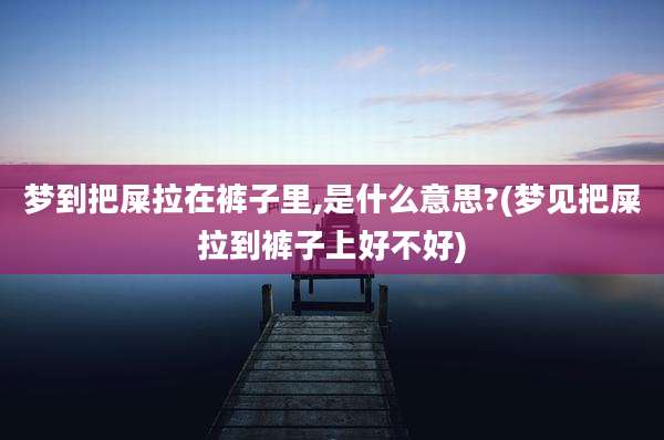 梦到把屎拉在裤子里,是什么意思?(梦见把屎拉到裤子上好不好)