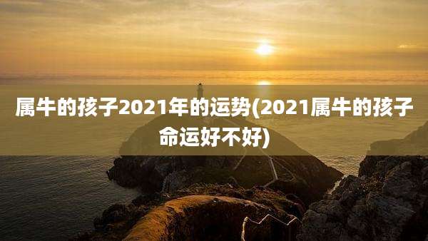 属牛的孩子2021年的运势(2021属牛的孩子命运好不好)