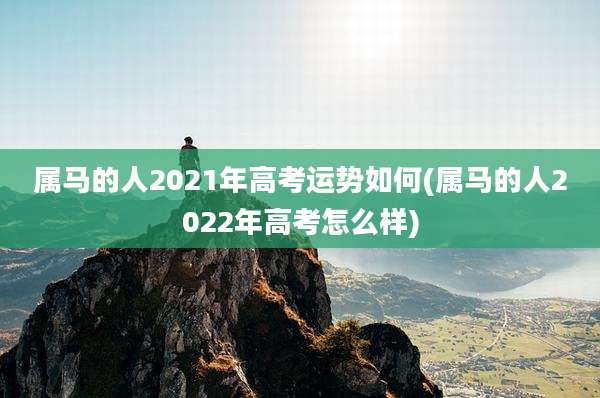 属马的人2021年高考运势如何(属马的人2022年高考怎么样)