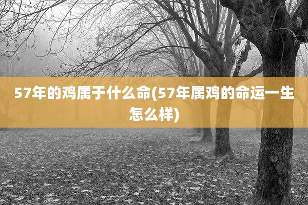 57年的鸡属于什么命(57年属鸡的命运一生怎么样)