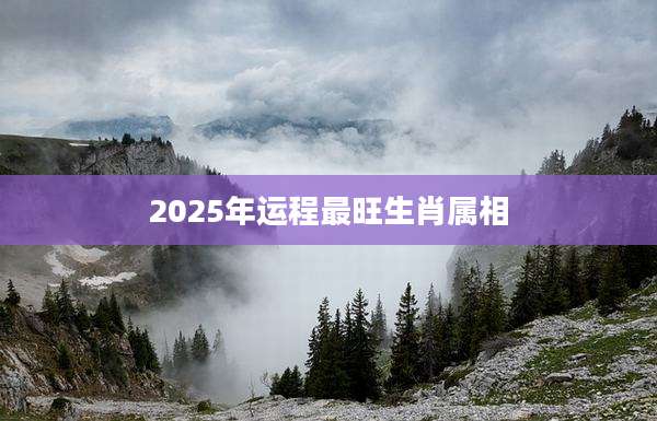 2025年运程最旺生肖属相