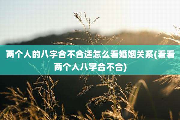 两个人的八字合不合适怎么看婚姻关系(看看两个人八字合不合)