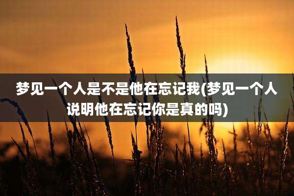 梦见一个人是不是他在忘记我(梦见一个人说明他在忘记你是真的吗)