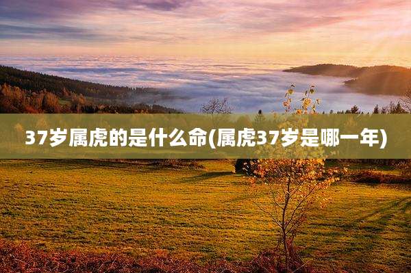 37岁属虎的是什么命(属虎37岁是哪一年)