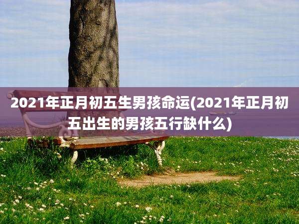 2021年正月初五生男孩命运(2021年正月初五出生的男孩五行缺什么)