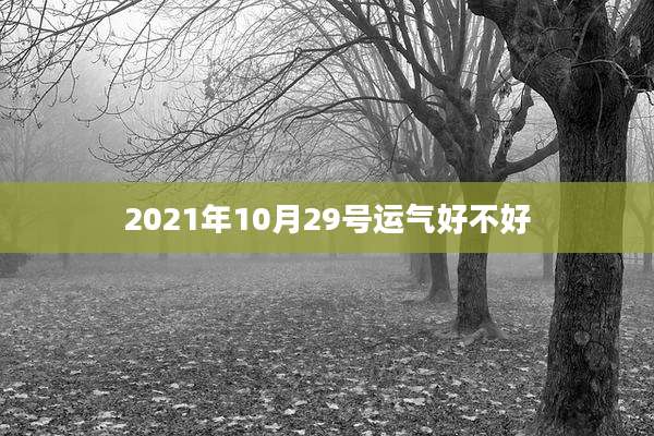 2021年10月29号运气好不好